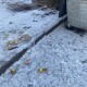У Луцькому зоопарку закликають не викидати харчі, а приносити тваринам