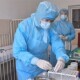 На Волині все ще не можна послаблювати карантин. Заповненість ліжок – понад 80%