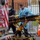 У США виявили нові штами коронавірусу