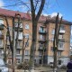 У Луцьку покарають ОСББ, які «кронують» дерева до стовбурів