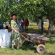 У Луцьку облаштували міський город. ВІДЕО