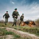 У Луцьку зведуть будинок для прикордонників