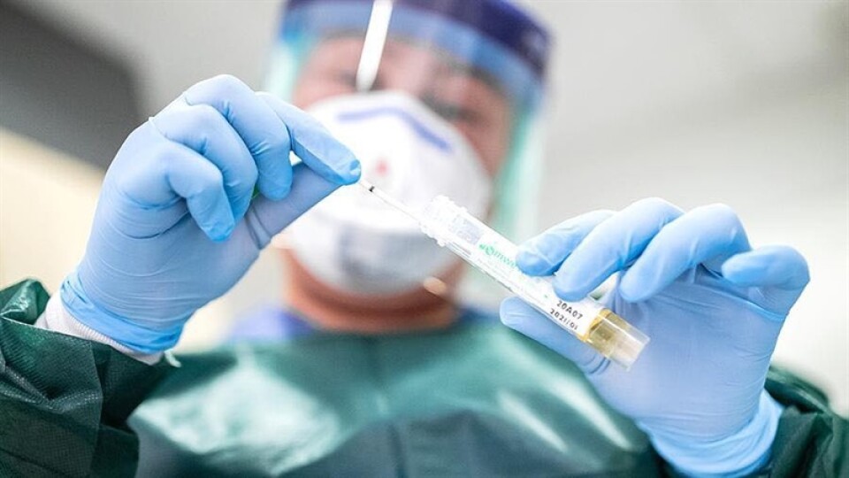 Волинська лабораторія видаватиме результати ПЛР-тестів двома мовами