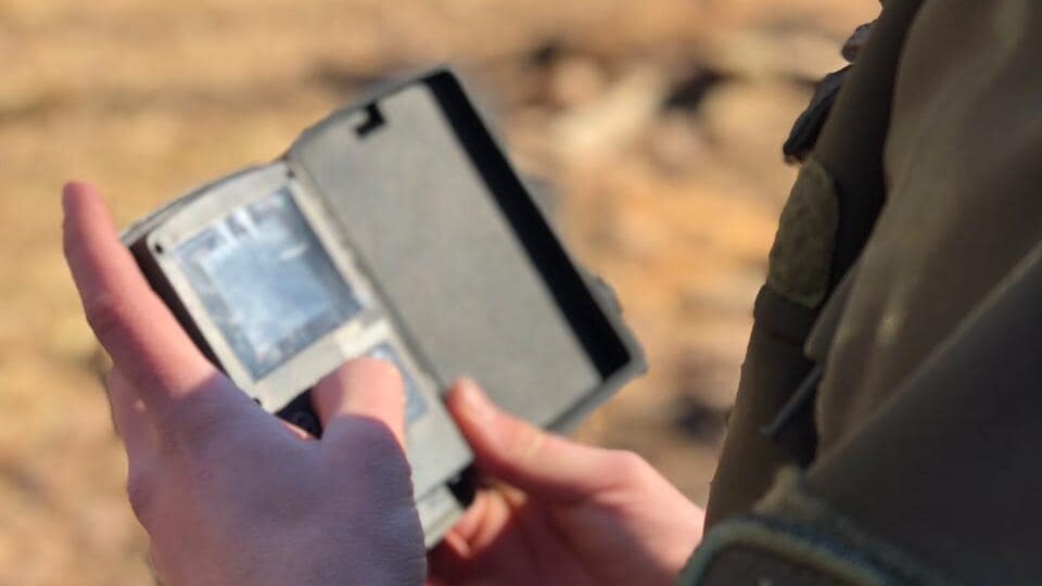 На Волині браконьєри застрелили трьох кабанів. ФОТО 18+