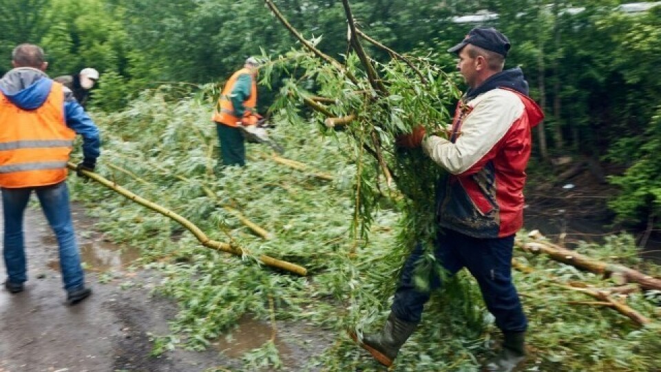 Через погану погоду в Луцьку перенесли толоку