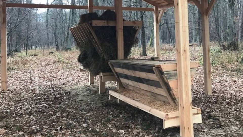 На Волині у лісництві встановили нові годівниці для диких звірів