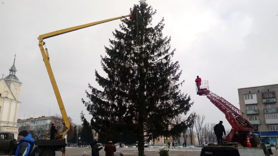 Новорічну ялинку з Володимира пустять на дрова. ФОТО