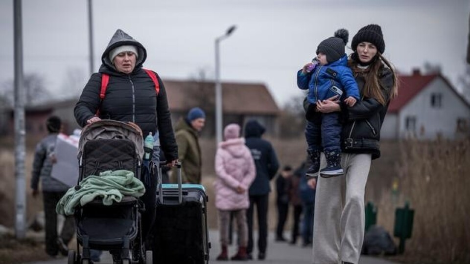 Як лучанам, які прихистили біженців, отримати компенсацію