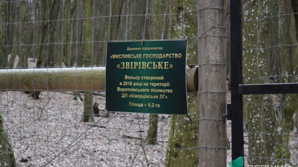 «Це, напевно, виклик комусь, політичне замовлення», – Шпига про вбивство ланей