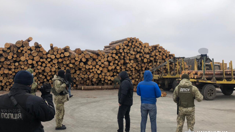 У Камінь-Каширському районі – масштабні обшуки на лісопильних підприємствах