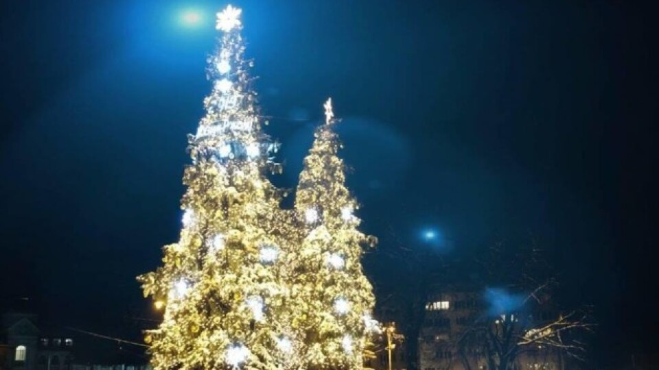 Стало відомо, коли буде відкриття головної ялинки Луцька
