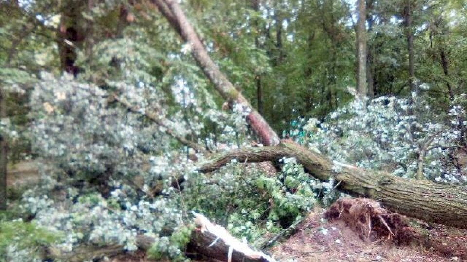 Хроніка пригод Луцька і Волині. Середа, 14 серпня