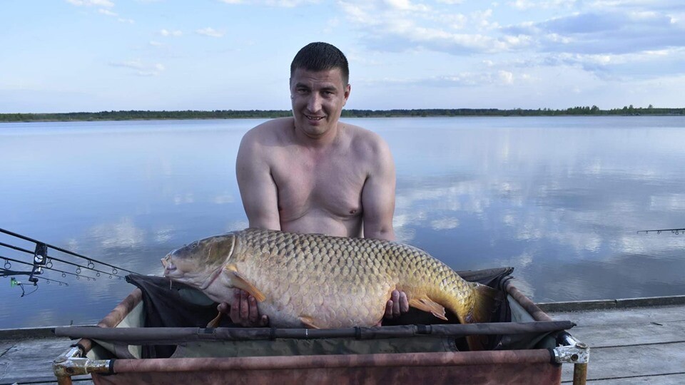 На Волині піймали рекордно великого коропа. Назвали Котигорошком і відпустили
