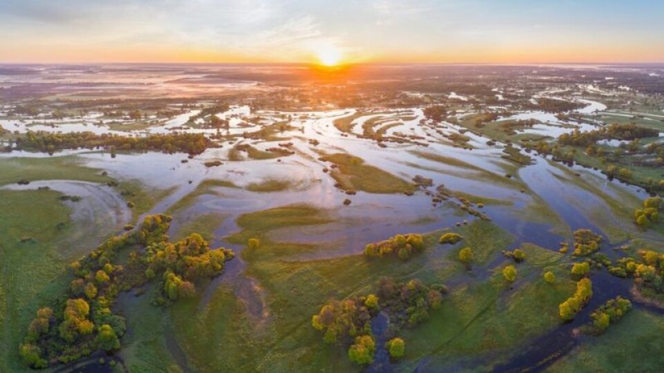 Україна може втратити Полісся через водний шлях Е40