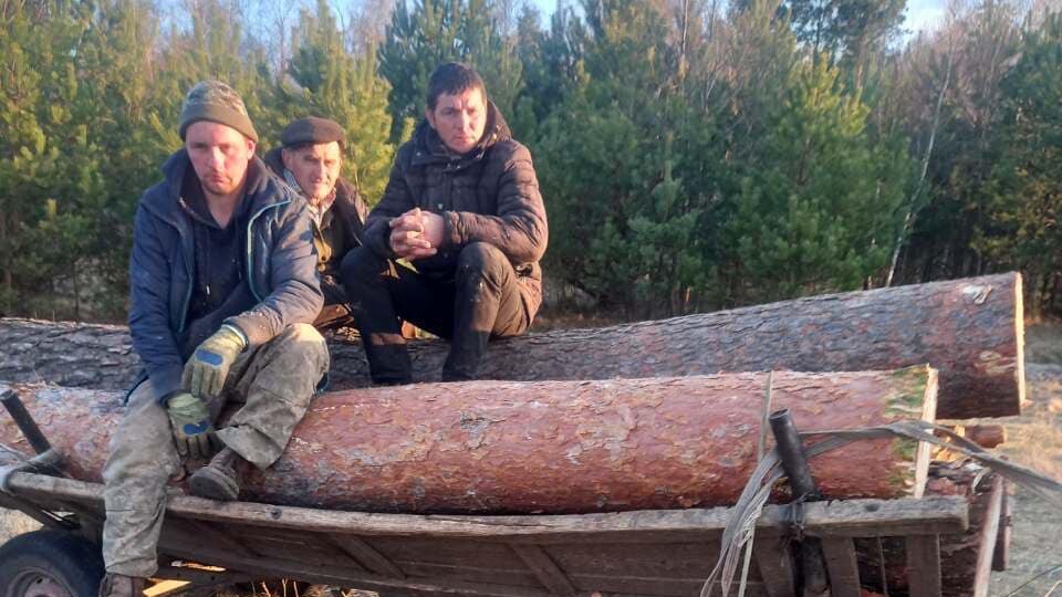 На Волині затримали чоловіків, які крали ліс