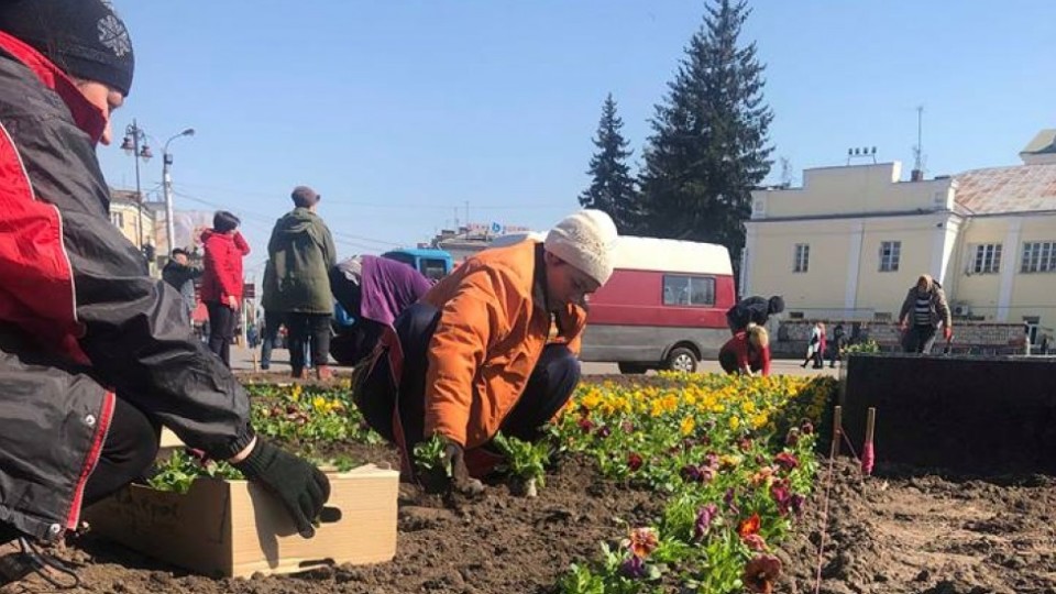 У Луцьку взялися прикрашати центр міста квітами. ФОТО