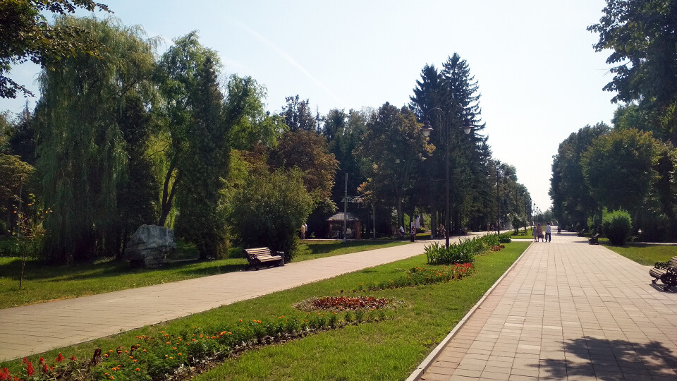 Центральний парк усю ніч оброблятимуть від кліщів. Лучан просять не йти туди
