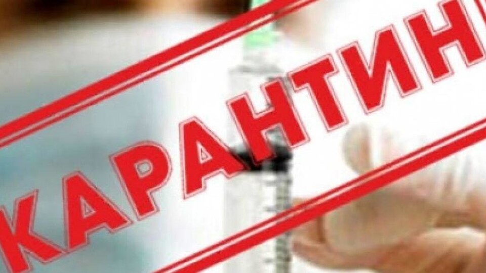 Як працюватиме Волинська служба зайнятості під час карантину