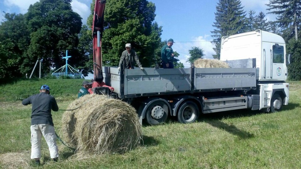 Шестеро волинян накосили для зоопарку п'ять тонн сіна