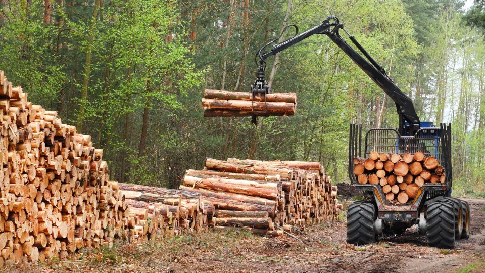 До кого звернутися волинянам, аби «виписати» собі дрова