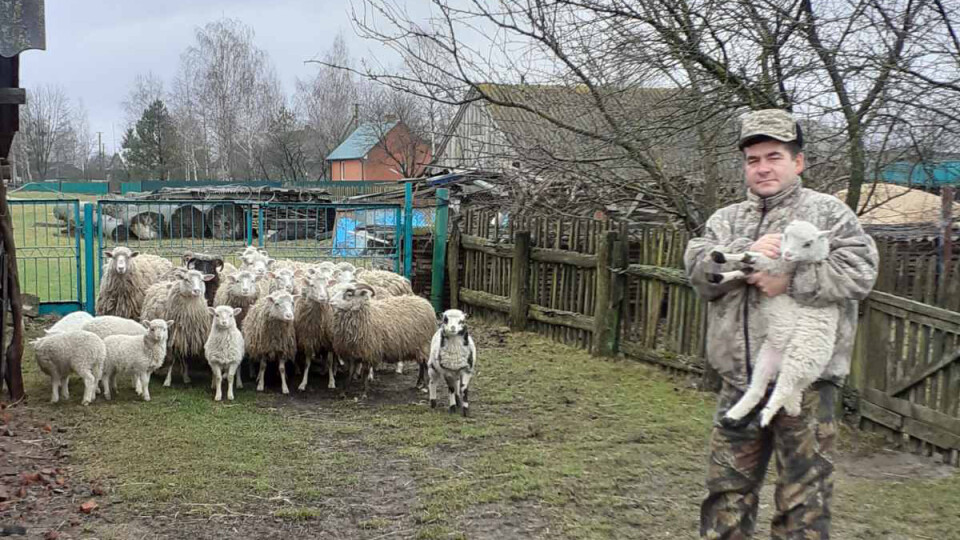 «Нема куди здати шерсті». Про що мріє вівчар із села на Волині, яке мало вівчарську славу
