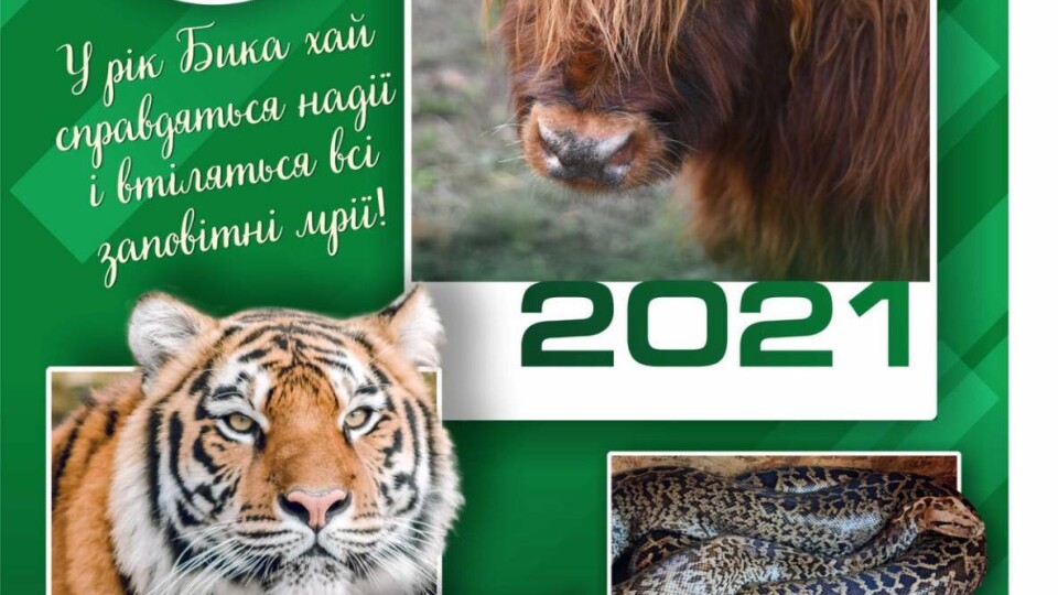 Луцький зоопарк випустив свій календар на 2021 рік. Він вже продається