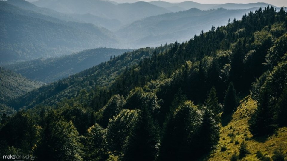 Мандрівка в гори: сонячні світлини луцького фотографа. ФОТО