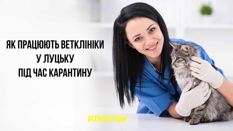 Які ветеринарні клініки працюють у Луцьку під час карантину. Список