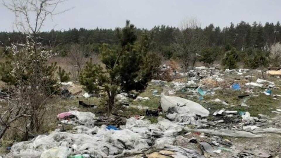 Волинські ліси перетворюються на сміттєві полігони. Що з цим робити?