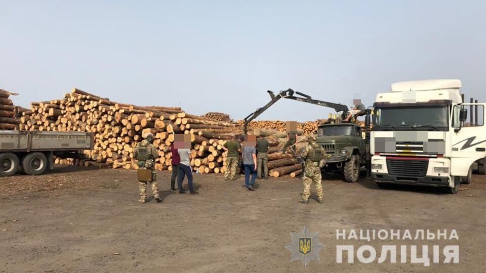 «Кримінал» через незаконні рубки лісу: на ковельському підприємстві тривають обшуки