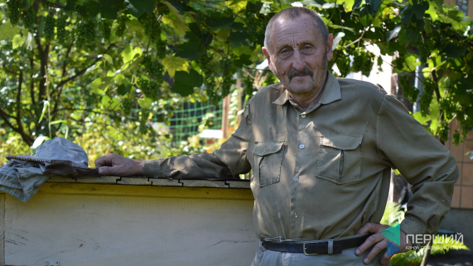 Українські бджоли та найкорисніший мед: пасічник з Волині розповів про бджільництво. ФОТО