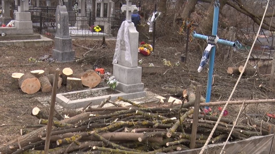 У Луцьку почали чистити кладовища. ВІДЕО