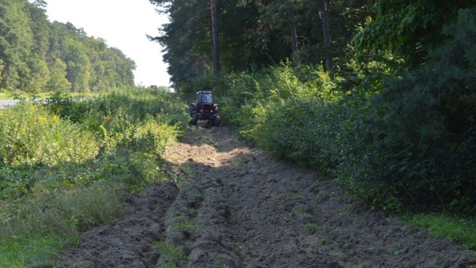 Як лісівники охороняють волинські ліси від пожеж