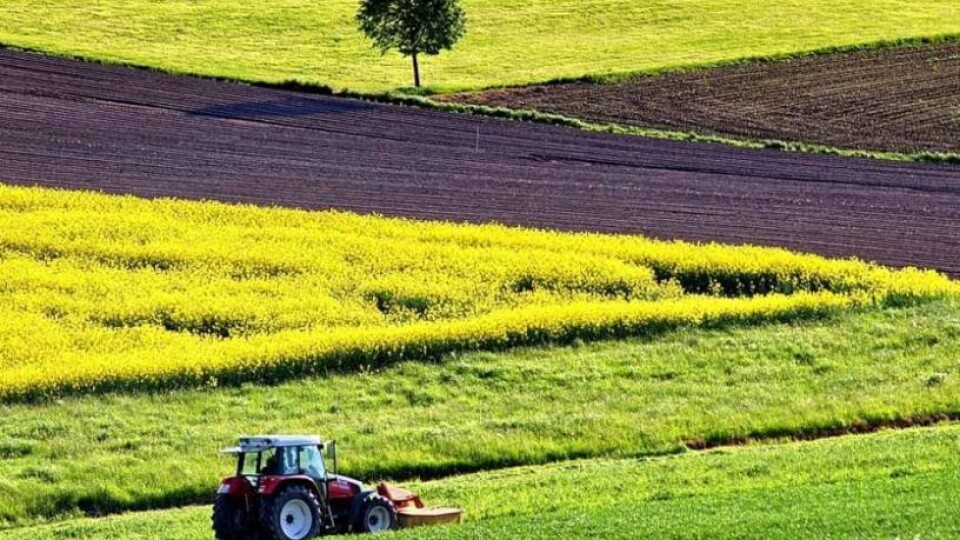 На Волині – найдешевша оренда землі. Рейтинг областей
