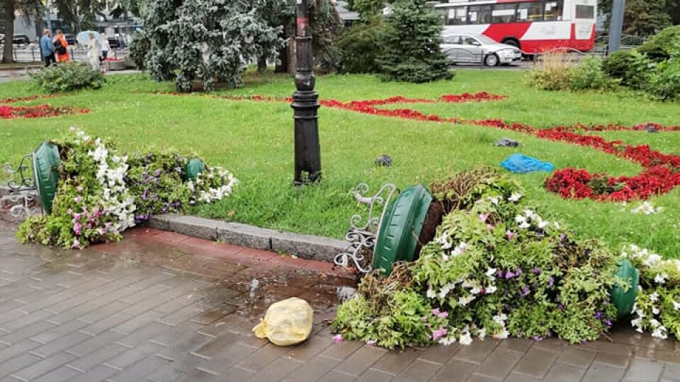 У центрі Луцька через сильний вітер попадали клумби