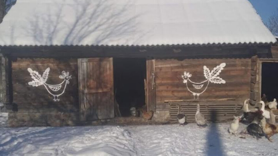 У волинському селі оселі прикрашають петриківським розписом