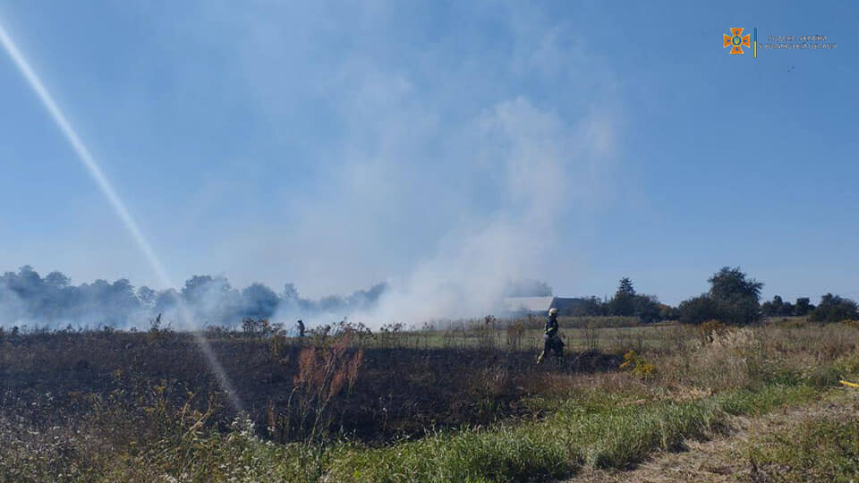 На волинянина склали адмінпротокол за підпал трави