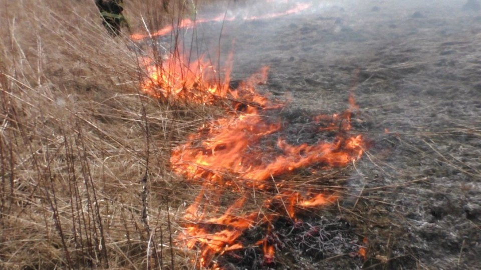 Хроніка пригод Луцька і Волині. Середа, 3 квітня. ФОТО
