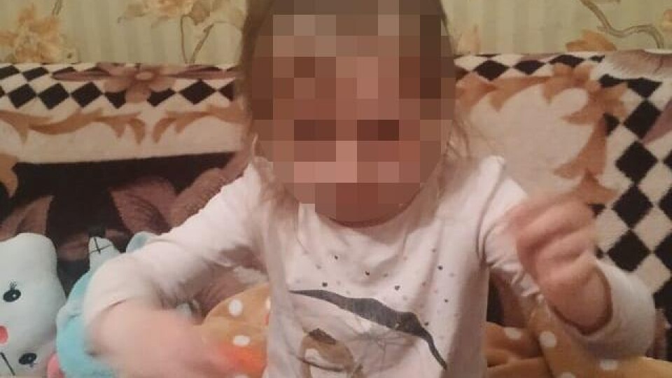 Пішла з вівчаркою: на Волині кілька годин шукали трирічну дівчинку