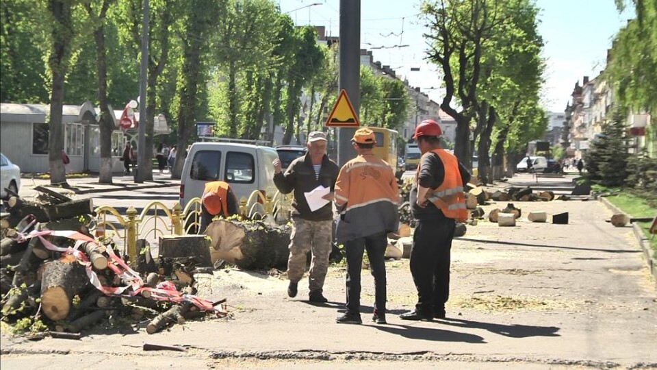У центрі Луцька зрізають дерева. Пояснення комунальників