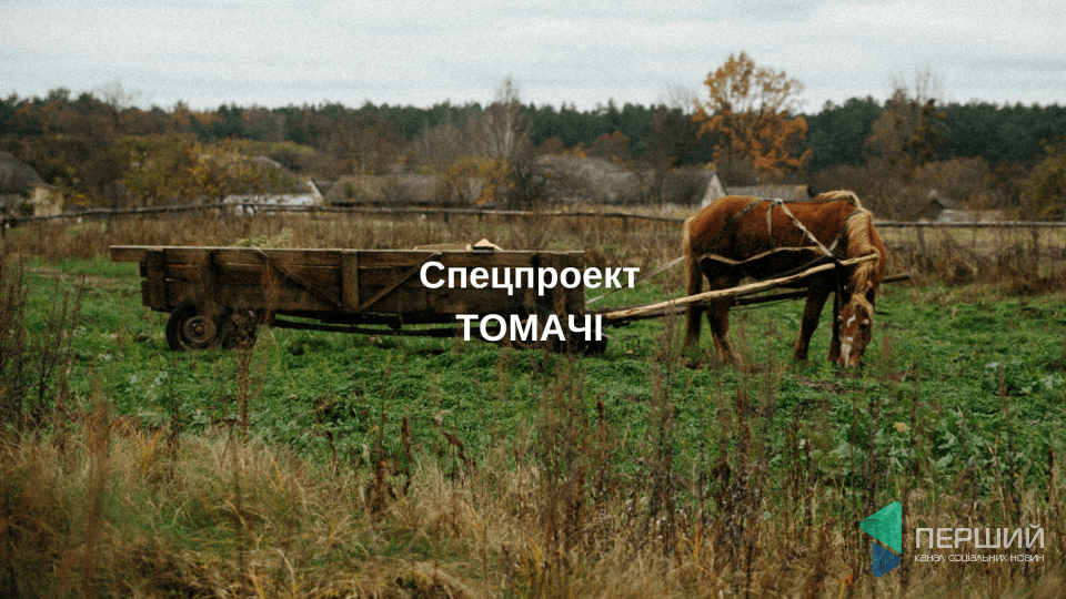 «Де й казали, шо то кобиляче мулуко». Про старі рецепти. ТОМАЧІ