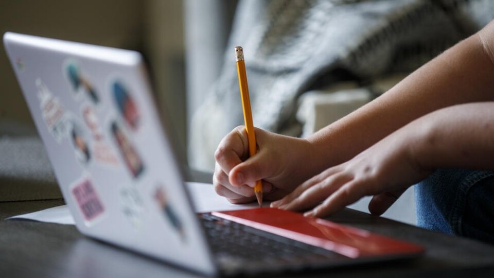 У Володимир-Волинській громаді школи ідуть на дистанційне навчання