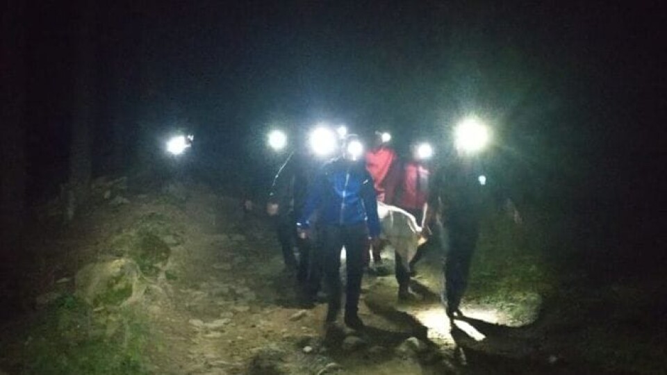 У Карпатах через вибух загинуло двоє туристів, ще 4 травмовані