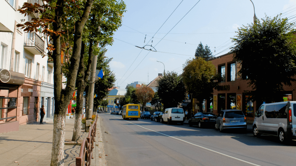 У Луцьку частину вулиці Винниченка хочуть перейменувати