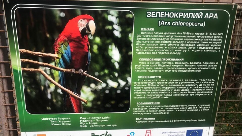 З Луцького зоопарку вкрали папуг. Просять допомоги у їх пошуку