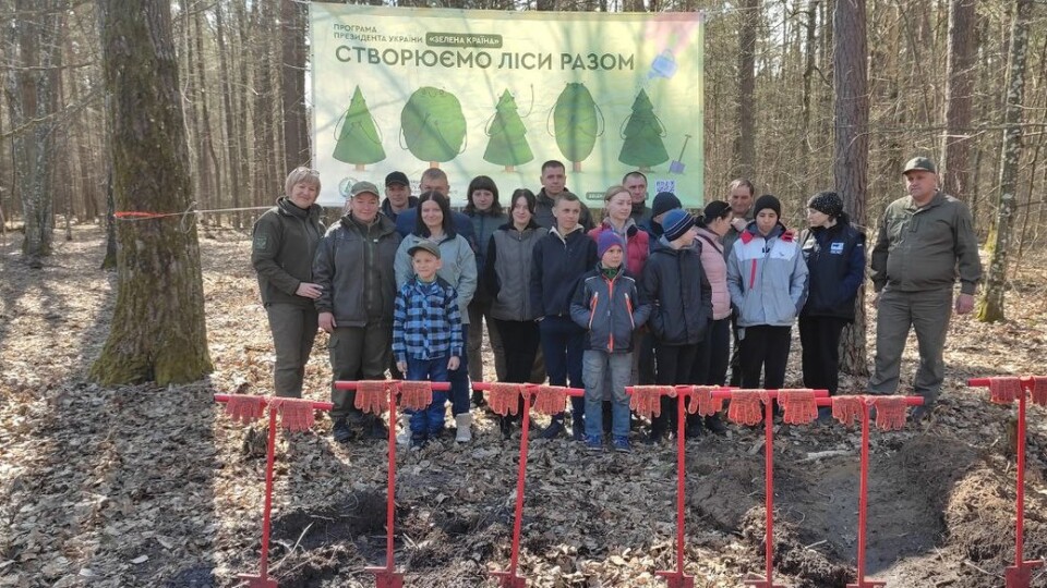 На Волині переселенці з лісівниками засадили саджанцями п'ять гектарів лісу