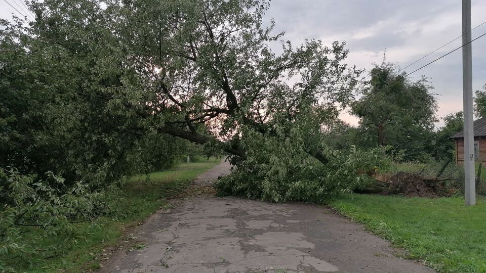 Позривало дахи, повалило дерева. На Волині розгулявся буревій
