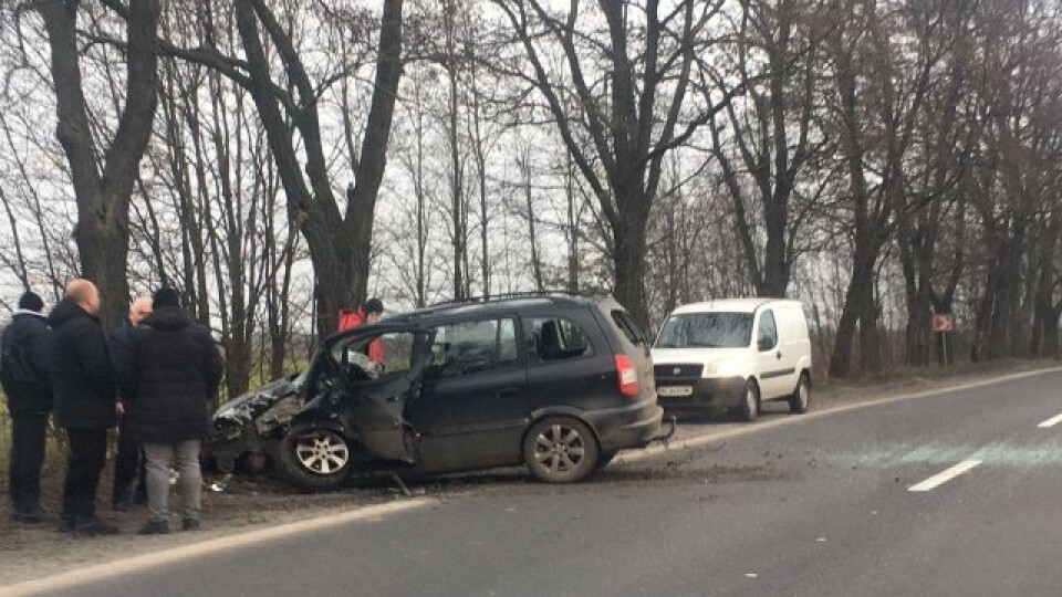 На Волині легковик врізався у дерево. Автомобіль значно пошкодився