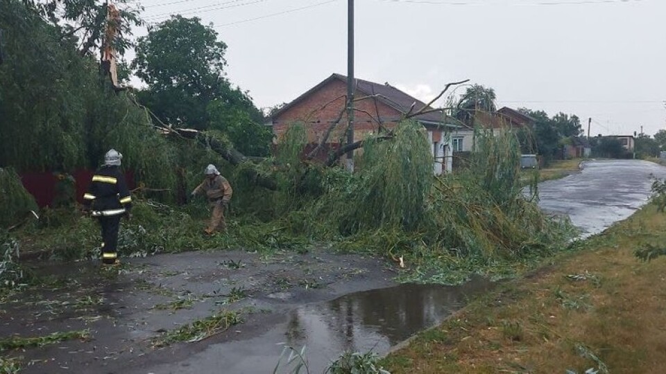 На Волині вирувала негода. 18 населених пунктів — без світла