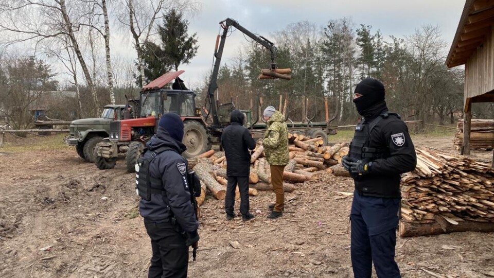 У Камінь-Каширському районі – масові обшуки. Підозрюють незаконну вирубку лісу